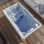 Swimspa Fitness en promotion