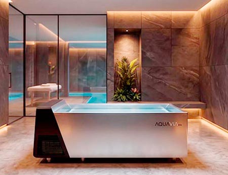 Acheter Cold Plunge Ice Bath